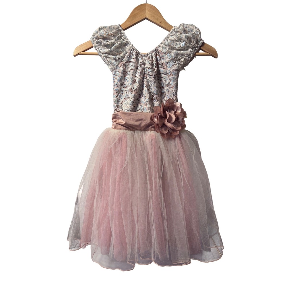 A Wish Come True The Painter Dance Costume Kids MC Mauve Silver Lace Tutu